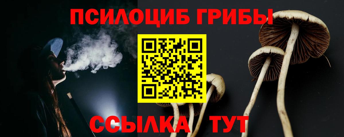 Псилоцибиновые грибы ЛСД Кохма